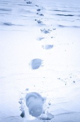 Scan-120919-0013-13.JPG