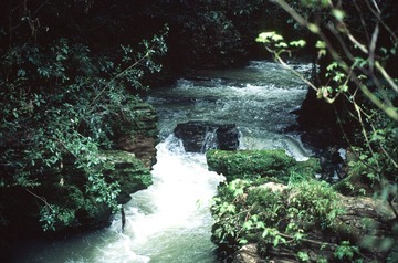 Scan-120919-0039-39.JPG