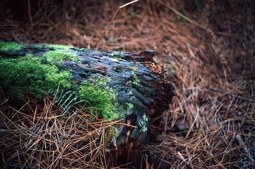 Scan-120926-0021-21.JPG