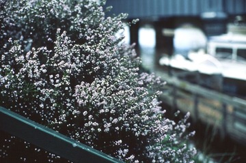 Scan-120926-0012-10.JPG