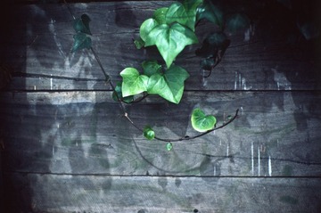 Scan-120926-0020-18.JPG
