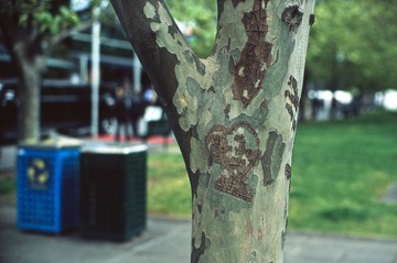 Scan-120926-0031-29.JPG