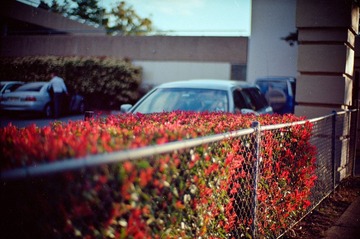 Scan-121031-0003.jpg
