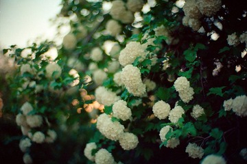 Scan-121101-0015.jpg