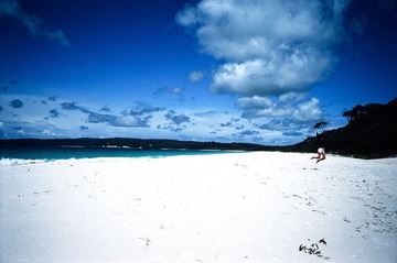 Scan-121127-0027.jpg
