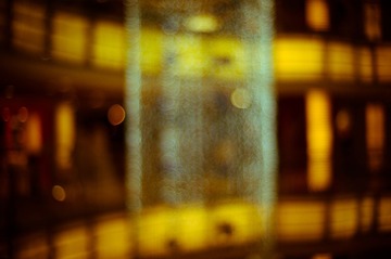 L1000282.jpg
