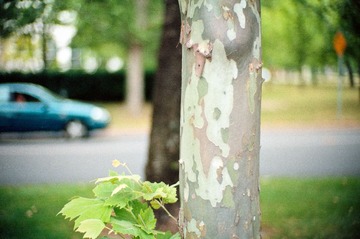 Scan-130309-0006-4.JPG