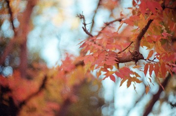 Scan-130510-0026-26.JPG
