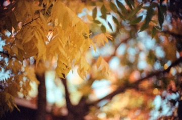 Scan-130510-0033-33.JPG