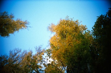 Scan-130601-0003-23.JPG