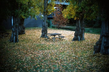 Scan-130601-0005-25.JPG