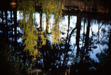 Scan-130610-0002-2.JPG