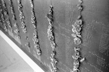 Scan-130729-0014-33.JPG