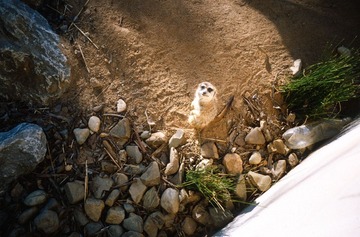 Scan-130816-0008-17.JPG
