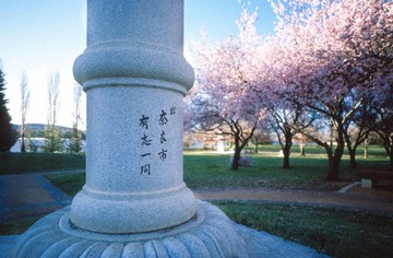 Scan-130819-0005-5.JPG