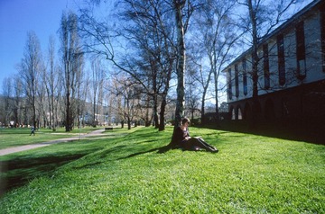 Scan-130819-0030-25.JPG