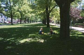 Scan-131108-0003