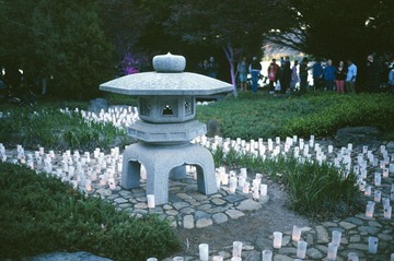 Scan-131108-0012