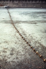 Scan-140207-0008-2