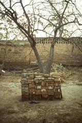 Scan-140207-0024-2