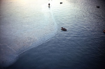 Scan-140207-0038-2