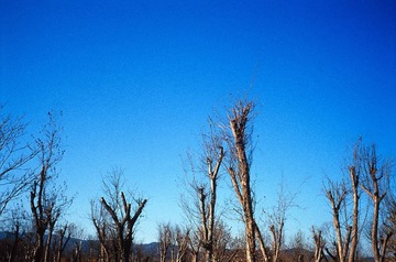 Scan-140302-0046