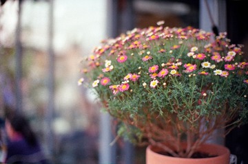 Scan-140417-0015