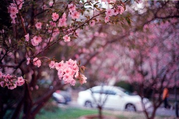 Scan-140417-0034