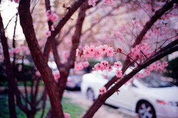 Scan-140417-0036