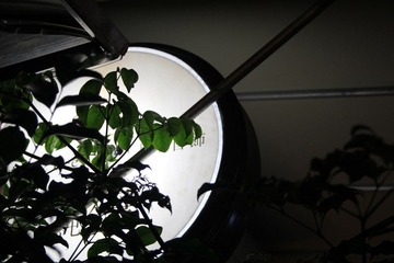 IMG_4421.JPG