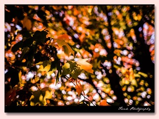 20131002-DSC_4921__