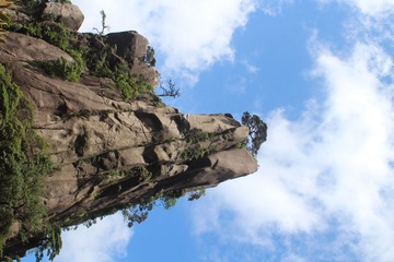 IMG_0730.JPG