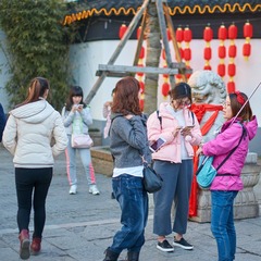 DSC07096 (复制)