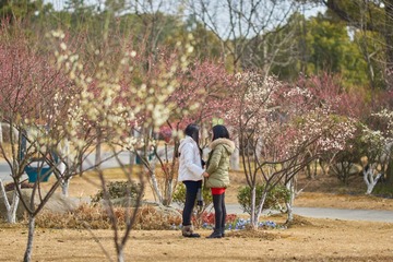 DSC07270 (复制)