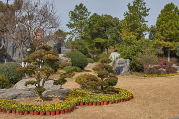 DSC07327 (复制)