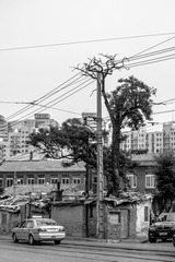 20150607人文1150