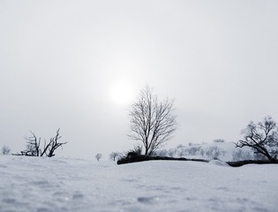 201501184099