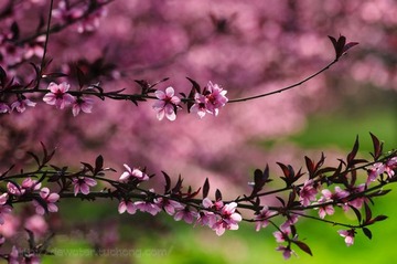 _LJB7347