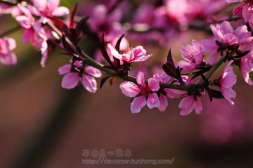 _LJB7348