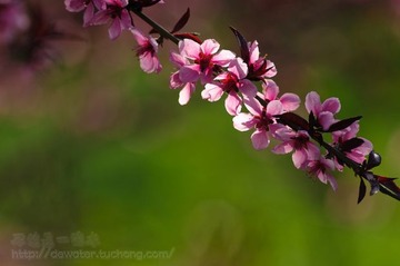 _LJB7351