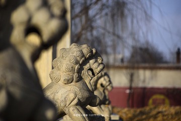 _DSC1545