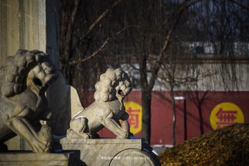 _DSC1547