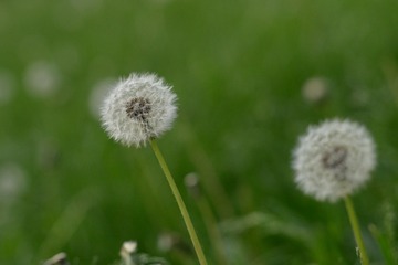 ZXW_8337