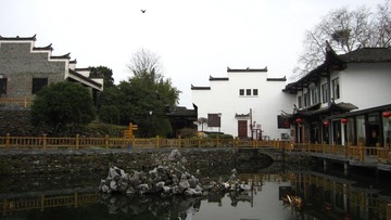 IMG_1594.JPG