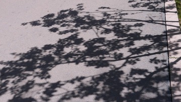 1000056049