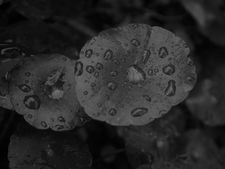 P1160134