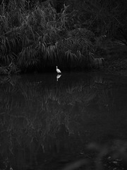 P1160127