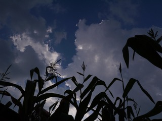 P1050486