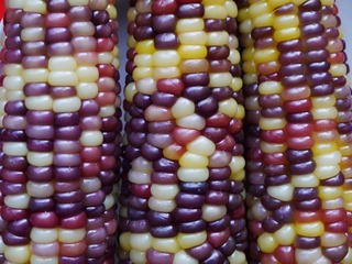 P1050517