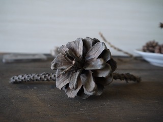 P1110292